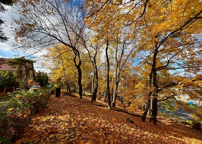 Katarzyny Puzynskiej Appartamento *